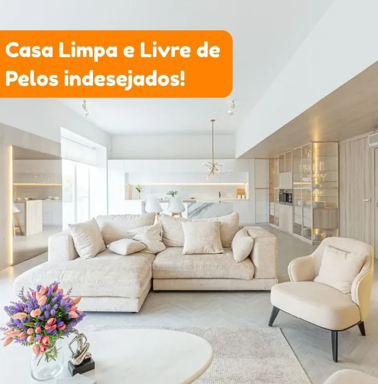 Escova a Vapor Removedora de Pelos 3 em 1 (Leia a Descrição)